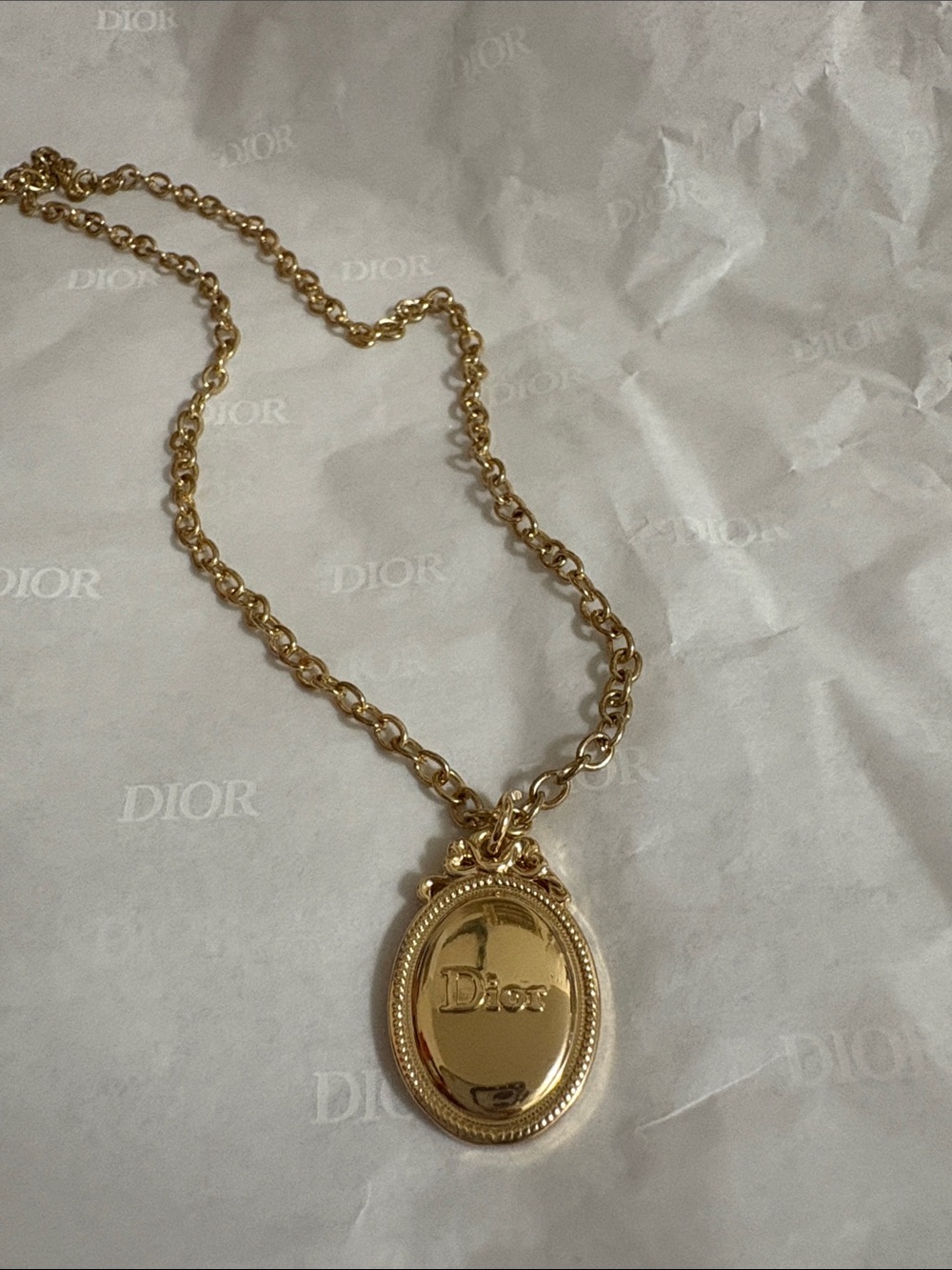 Dior Charm Pendant Necklace NEW